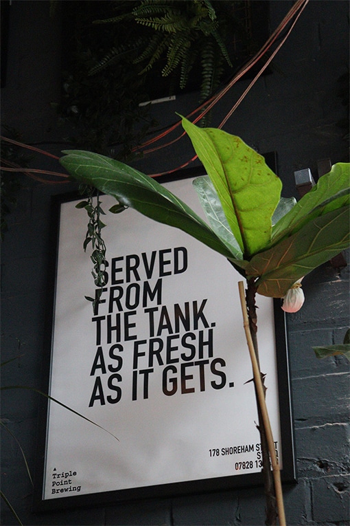 Served From The Tank As Fresh As It Gets