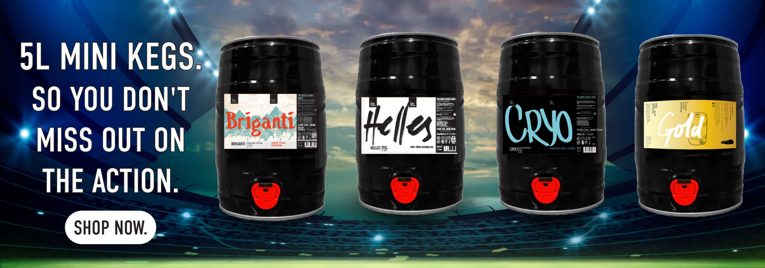 World Cup Mini Kegs