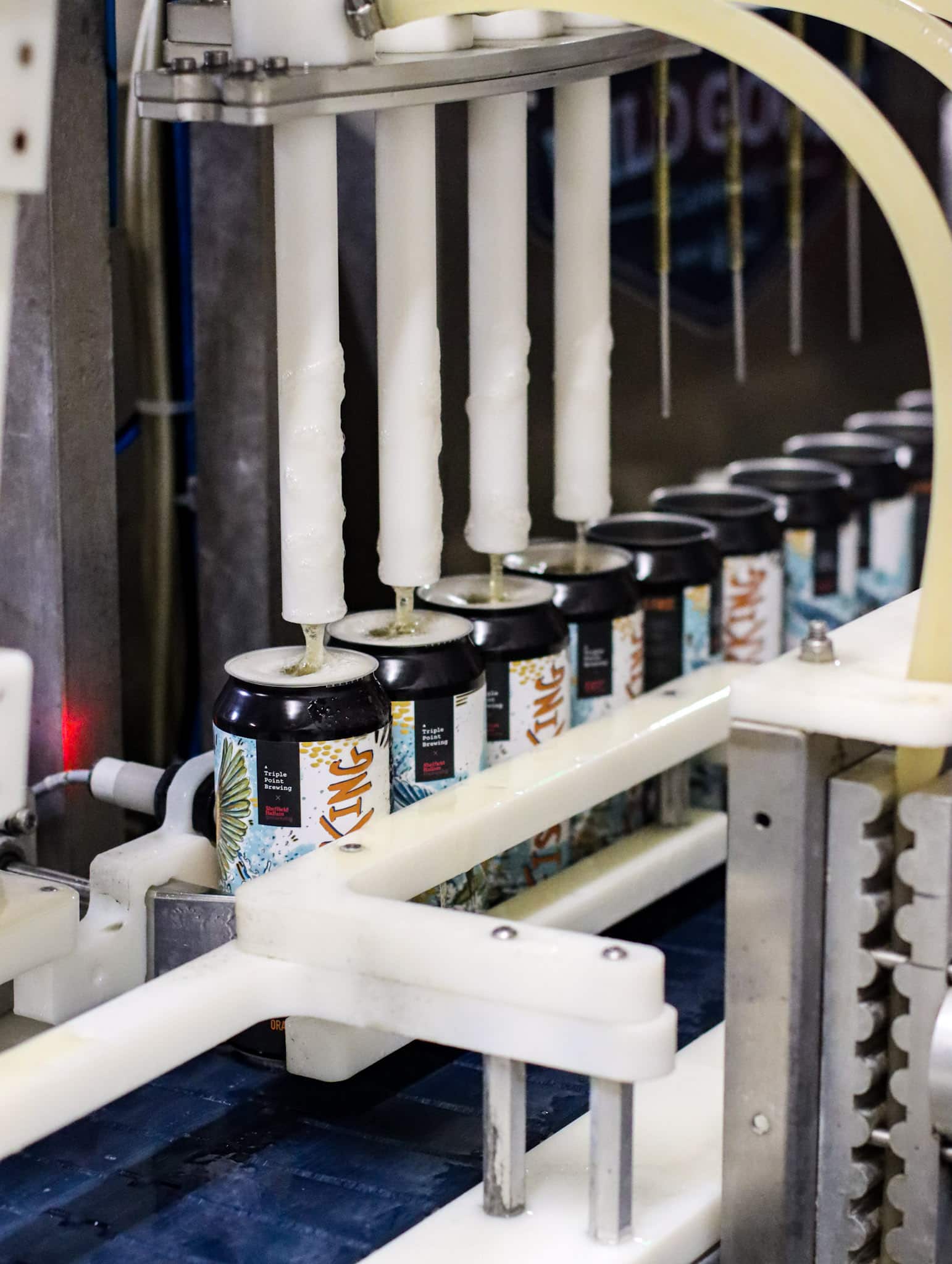 Fisherking pale ale being filled on the canning run